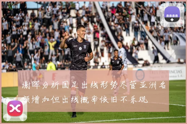 谢晖分析国足出线形势尽管亚洲名额增加但出线概率依旧不乐观